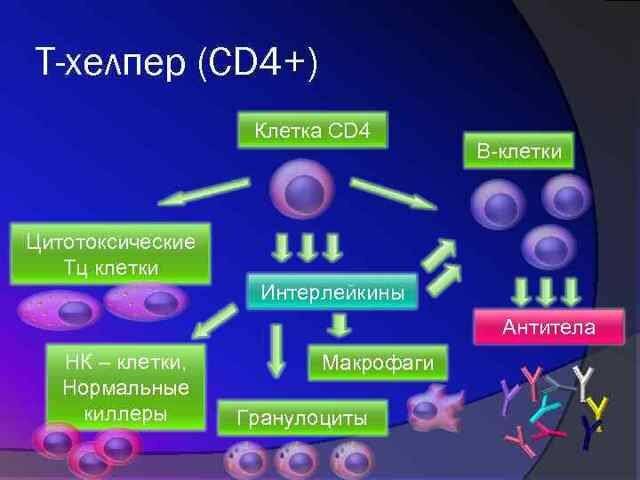 0917ddd391eadbae5ed6242b9126cc7b