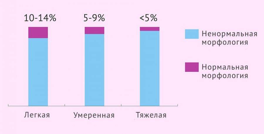 1531981381_types-of-teratozoospermia