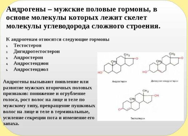 Андрогенетическая алопеция у мужчин – средства и лечение облысения