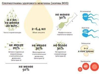 Агглютинация сперматозоидов: причины и лечение обнаруженной агглютинации