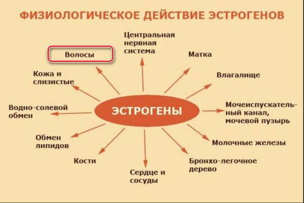 Андрогенетическая алопеция у мужчин – средства и лечение облысения