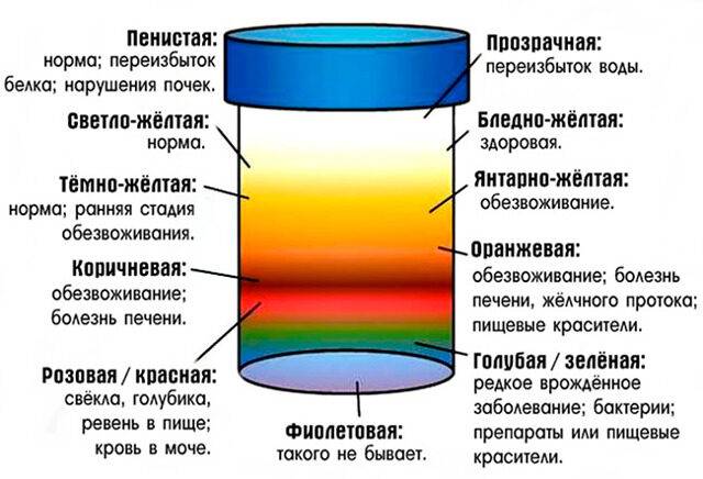 90bb35b8d61fa1fb9ef25a449c549075