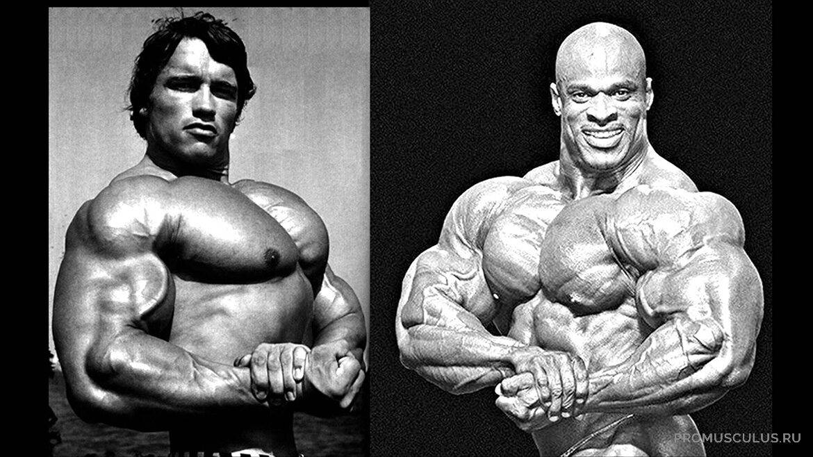 arnold-coleman