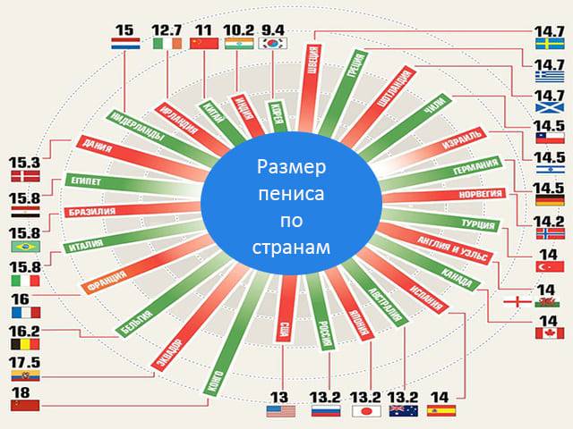 Длина Мужского Члена