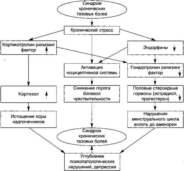 endokrinnaya-regulyatsiya-sindroma-hronicheskih-tazovyh-bolej-600x557-1