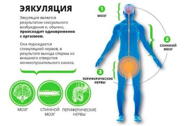 esli_net_semyaizverzheniya_-_chto_delat__1-2