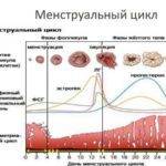 gormonalnye-sboi-pered-menstrualnym-tsiklom-150x150-1