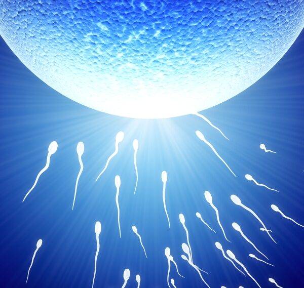 spermatozoons-floating-to-ovule-3d-render