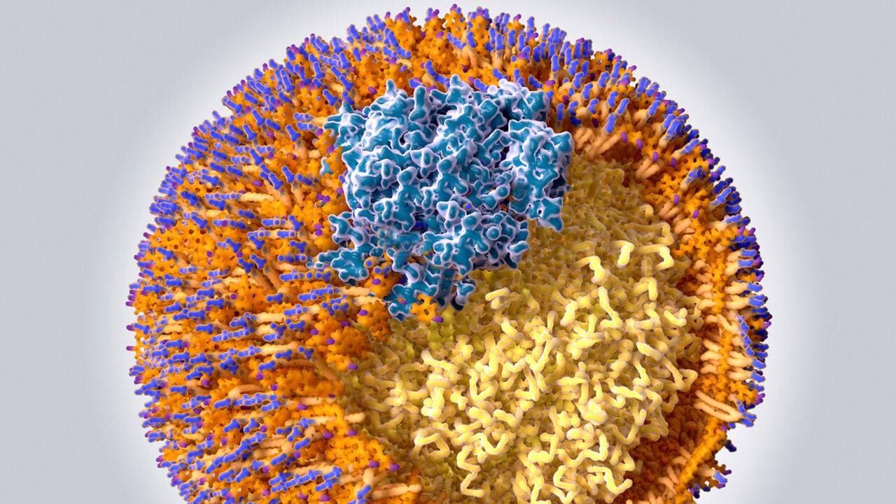 ldl-cholesterol-1