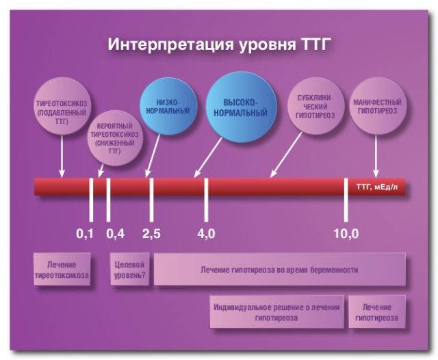 otklonenie_ot_normy_pokazatelya_ttg_u_muzhchin_5