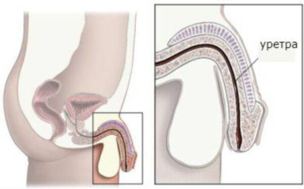 pochemu_poyavlyaetsya_diskomfort_pri_mocheispuskanii_u_muzhchin__3
