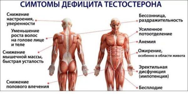 simptomy-defitsita-testosterona-600x300-1