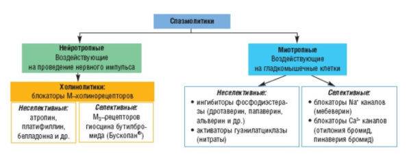 spazmolitiki-klassifikatsiya-600x241-1