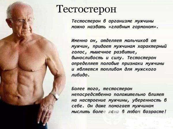 testosteron-v-organizme-muzhchiny-600x450-1