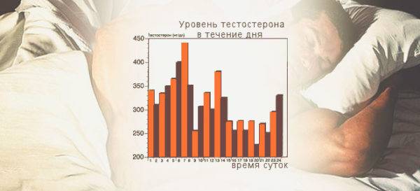 uroven-testosterona-v-techenie-dnya-600x273-1