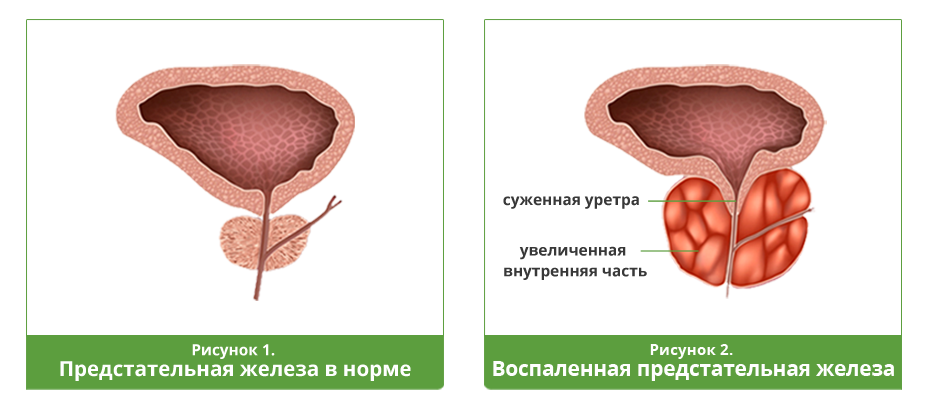 16 марта 1.png