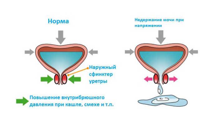 c628ec813412da3_680x409