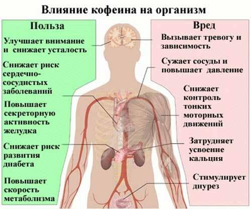 coffe-polza-vred