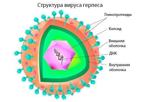 gerpes-na-gubah-17