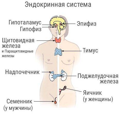 gormonalnyy-sboy-u-zhenschin-1