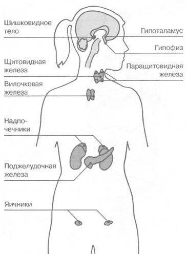 gormonalnyy-sboy-u-zhenschin-simptomy-i-priznaki-6