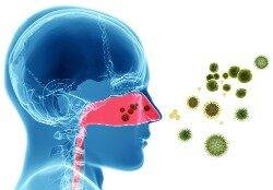 immun-bakter-infect-virus-allerg-2-deposit