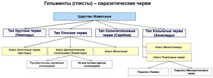 izbavlyaemsya-ot-glistov-narodnyimi-sredstvami-domashnih-usloviyah-retseptyi-2