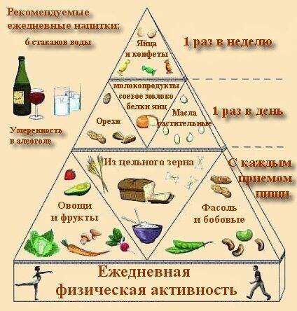 lacto-ovo-vegetarian