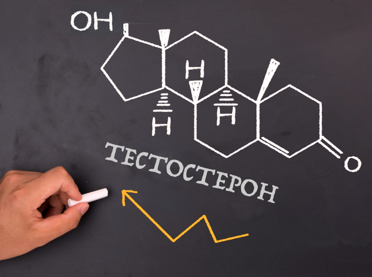 lecheniye-testosterona-v-sluchaye-narusheniya-yego-urovnya-u-muzhchin-i-zhenshchin