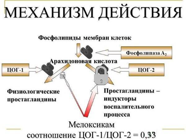 movalis-ukoly-2