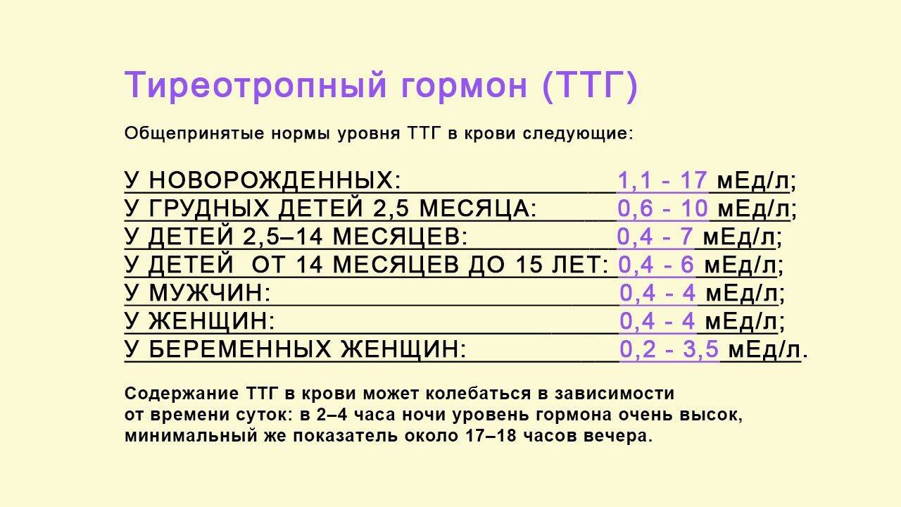 norma-ttg-u-muzhchin