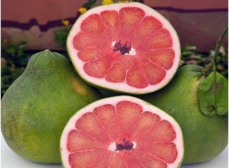 pomelo