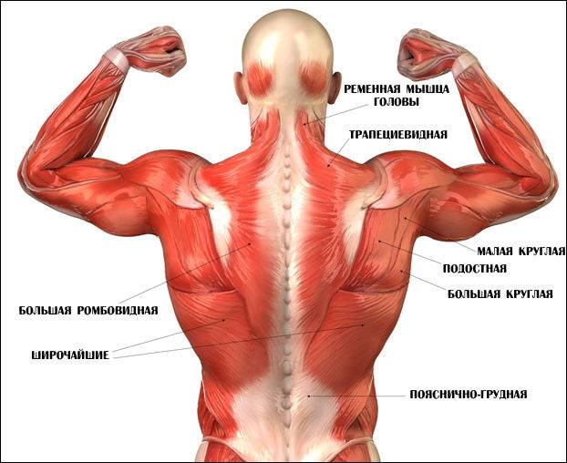 potyanul-spinu-simptomy-dejstviya