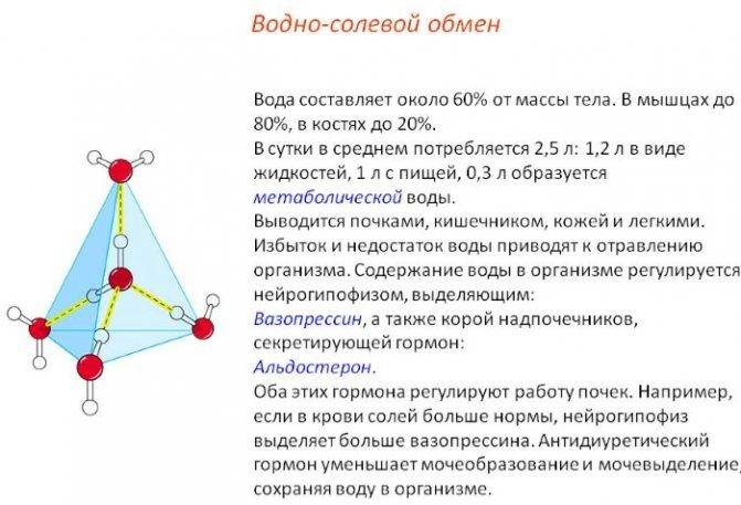 svetlaya-mocha-prichiny-u-zhenshchin-pri-chastom-mocheispuskanii-beremennosti-lechenie6