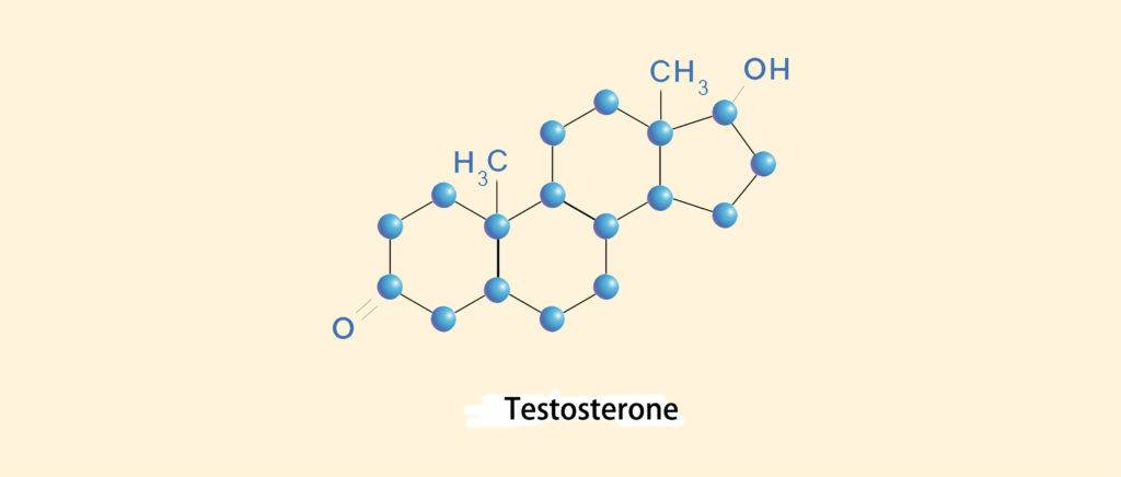 testosteron-4-1024x436-1