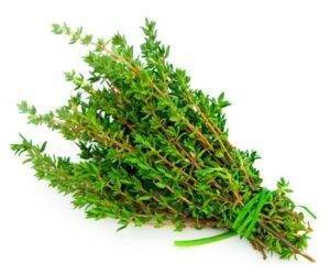 thyme-2-300x250-1