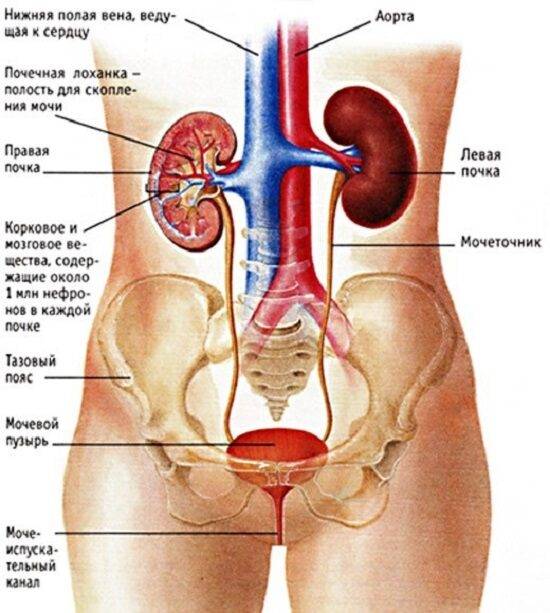 uretrit-2