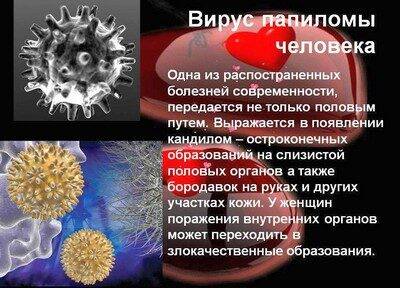 virus-papillomy-cheloveka